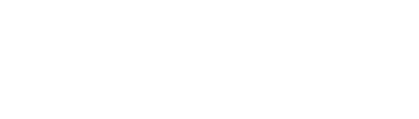 歴史 飛躍期