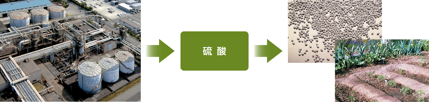 硫酸