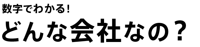 数字でわかる！どんな会社なの？